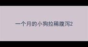 一个月的小狗拉稀腹泻