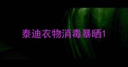 泰迪衣物消毒暴晒