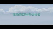 宠物鹦鹉种类价格表