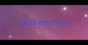 拉布拉多前肢关节突出