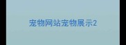宠物网站宠物展示