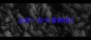 边牧一岁大量掉毛