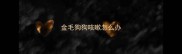 金毛狗狗咳嗽怎么办