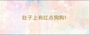 肚子上有红点狗狗