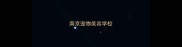 南京宠物美容学校