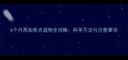 6个月高加索犬遛狗全攻略科学方法与注意事项