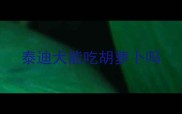 泰迪犬能吃胡萝卜吗
