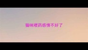 猫咪喂药感情不好了