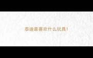 泰迪最喜欢什么玩具