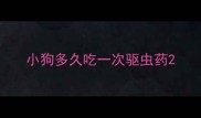 小狗多久吃一次驱虫药