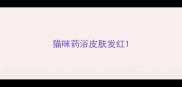 猫咪药浴皮肤发红