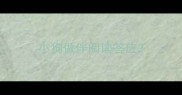 小狗做伴阅读答应