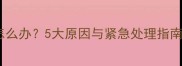 哈士奇拒食呕吐怎么办5大原因与紧急处理指南附喂食技巧