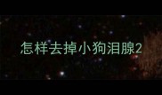 怎样去掉小狗泪腺