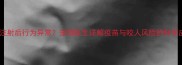 犬只疫苗注射后行为异常宠物医生详解疫苗与咬人风险的科学应对指南