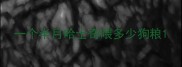 一个半月哈士奇喂多少狗粮