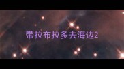带拉布拉多去海边
