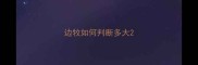 边牧如何判断多大