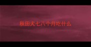 秋田犬七八个月吃什么
