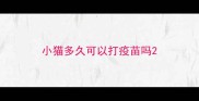 小猫多久可以打疫苗吗