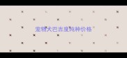 宠物犬巴吉度纯种价格
