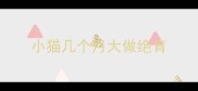 小猫几个月大做绝育