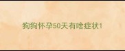 狗狗怀孕50天有啥症状