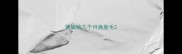 罗威纳几个月换胎毛