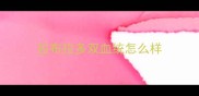 拉布拉多双血统怎么样