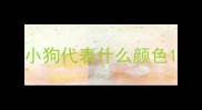 小狗代表什么颜色