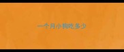 一个月小狗吃多少