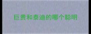 巨贵和泰迪的哪个聪明