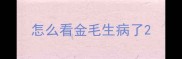 怎么看金毛生病了