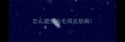 怎么避免金毛得皮肤病
