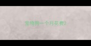 宠物狗一个月花费