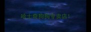 哈士奇狗狗专卖店