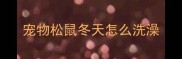 宠物松鼠冬天怎么洗澡
