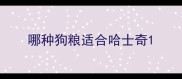 哪种狗粮适合哈士奇