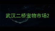 武汉二桥宠物市场