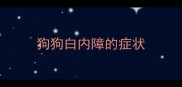 狗狗白内障的症状