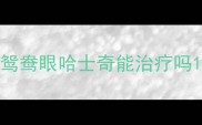 鸳鸯眼哈士奇能治疗吗