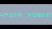 成年哈士奇饲养全攻略打造理想家的6大关键步骤