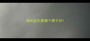 猫咪益生菌哪个牌子好