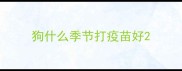 狗什么季节打疫苗好