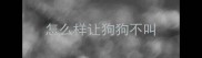 怎么样让狗狗不叫
