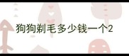 狗狗剃毛多少钱一个