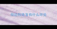 母边牧绝育有什么坏处