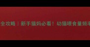 2个月小猫喂养全攻略新手猫妈必看幼猫喂食量频率禁忌一篇说清