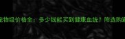 布偶猫宠物级价格全多少钱能买到健康血统附选购避坑指南