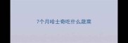 7个月哈士奇吃什么蔬菜